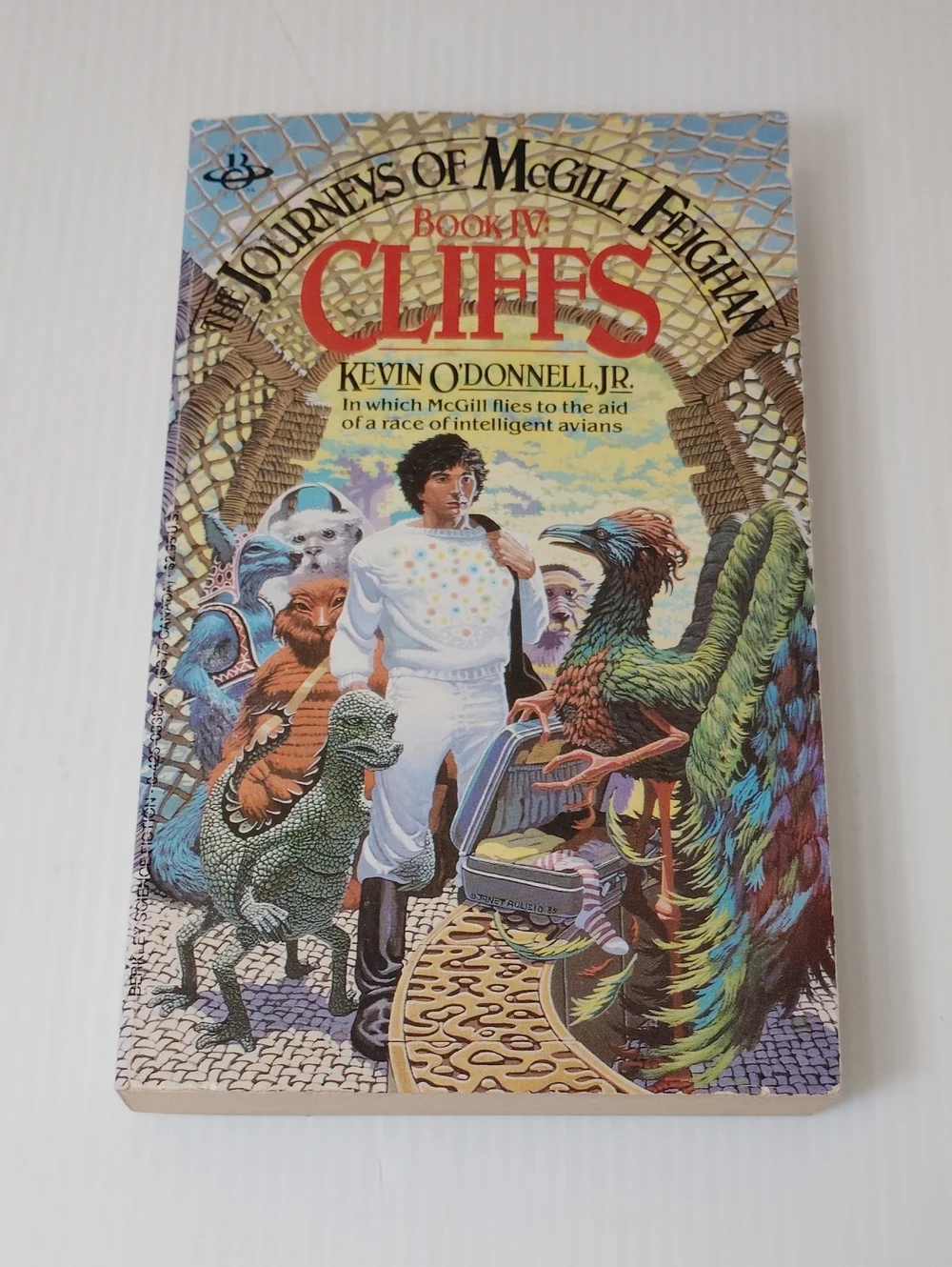 8 For $8 Journeys of McGill Feighan: Cliffs - White Book Cover